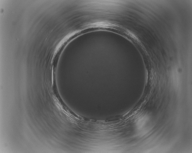 X0000057091323200509120909