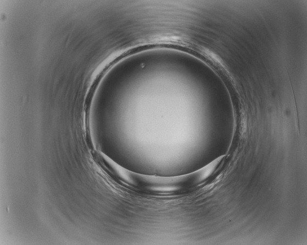 X0000057091324200509120909