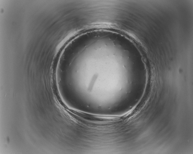 X0000057091325200509120909