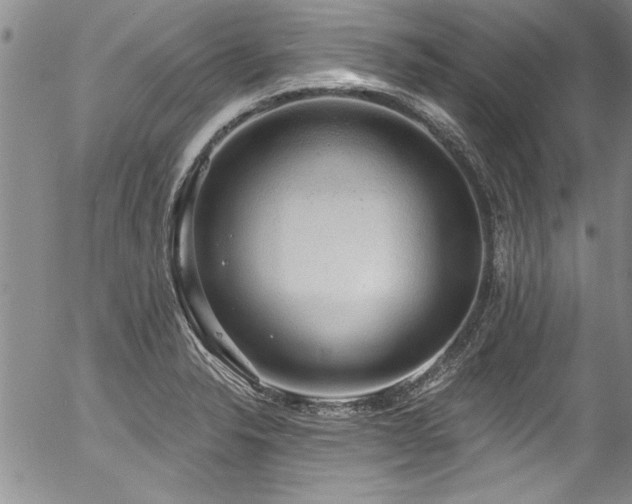 X0000057091326200509120909