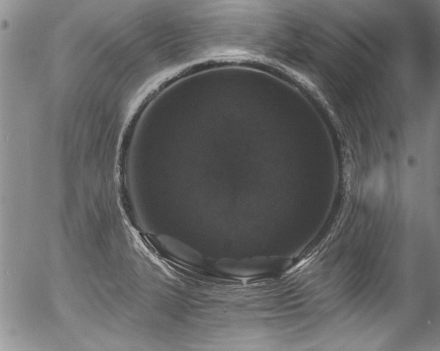 X0000057091327200509120909