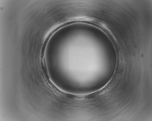 X0000057091328200509120909