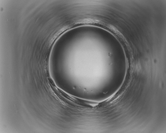 X0000057091329200509120909