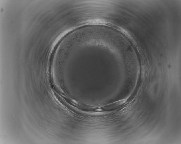 X0000057091331200509120909