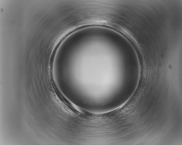 X0000057091332200509120909