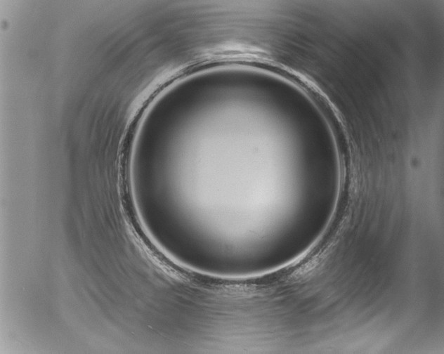 X0000057091333200509120909