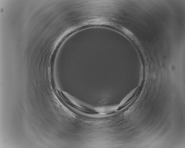 X0000057091334200509120909