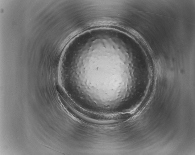 X0000057091337200509120909