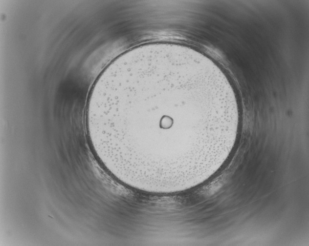 X0000057091338200509120909