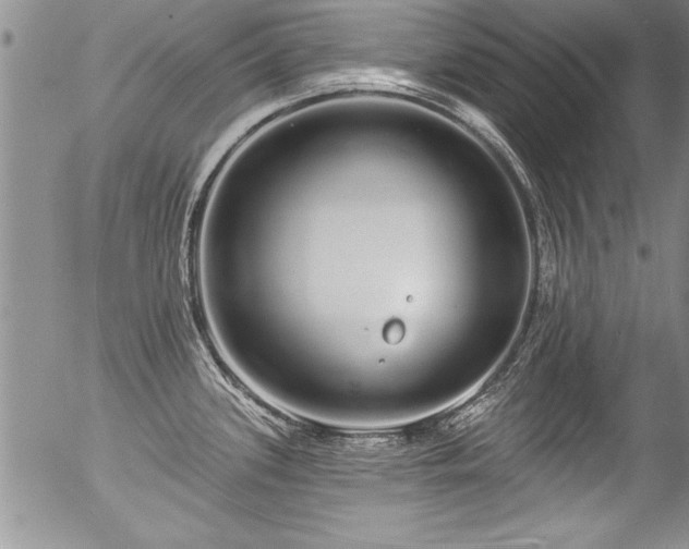 X0000057091339200509120909