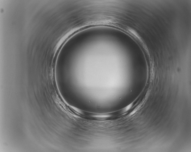 X0000057091340200509120909