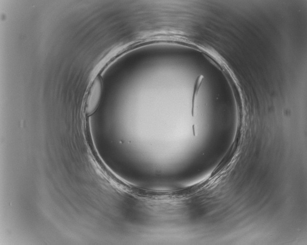 X0000057091341200509120909