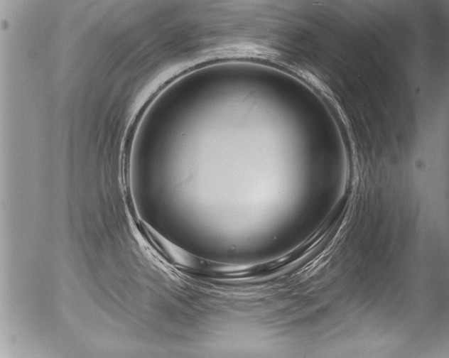 X0000057091342200509120909