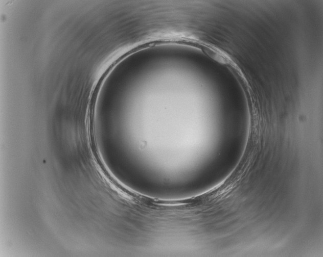 X0000057091343200509120909