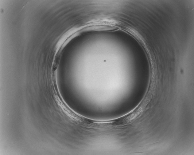 X0000057091344200509120909