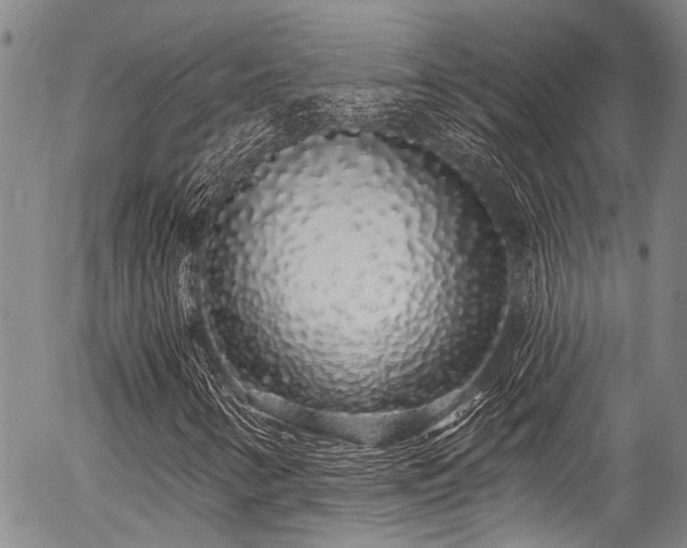 X0000057091346200509120909