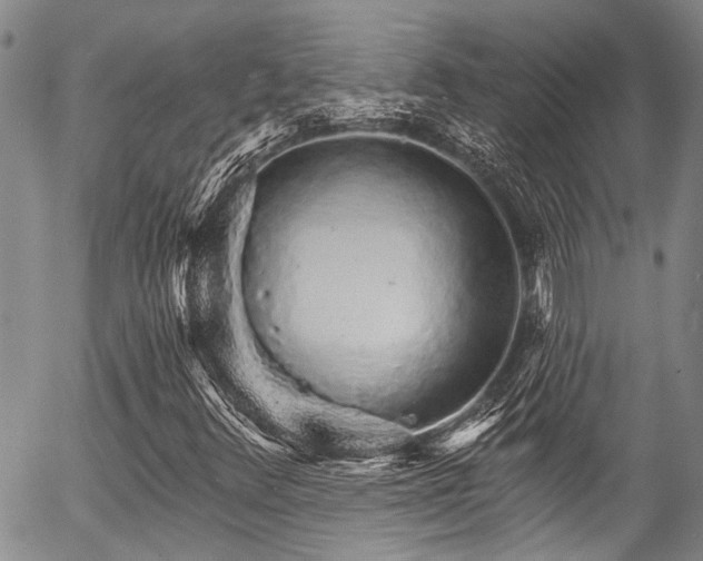 X0000057091348200509120909