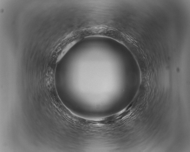 X0000057091349200509120909