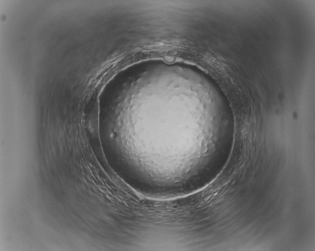 X0000057091350200509120908