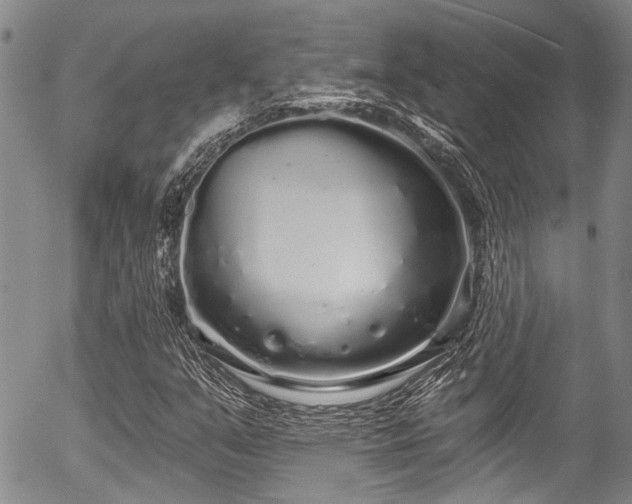 X0000057091351200509120908