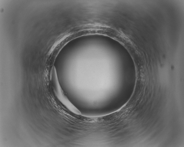 X0000057091352200509120908