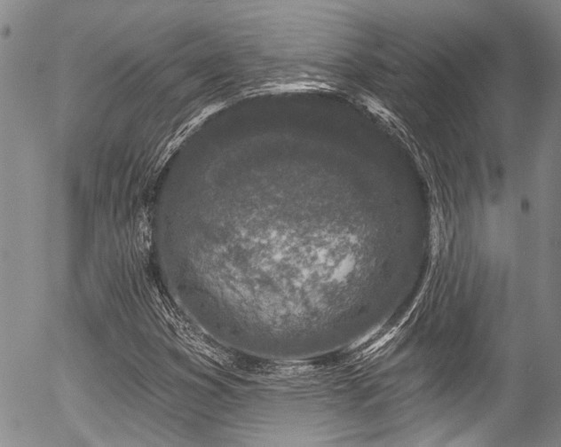 X0000057091353200509120908