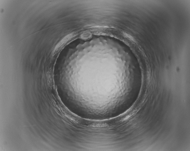 X0000057091354200509120908