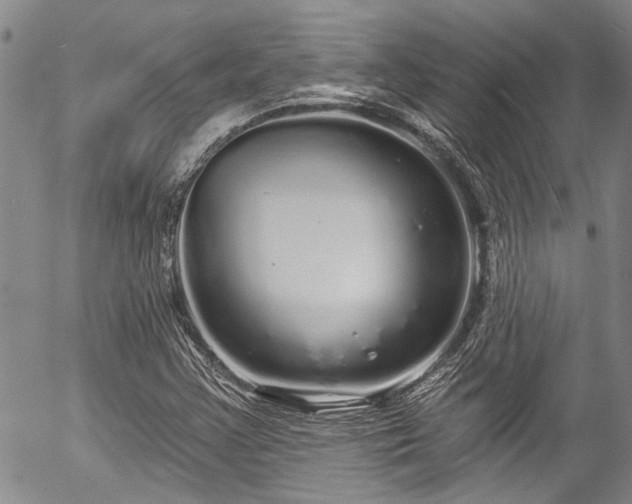 X0000057091355200509120908