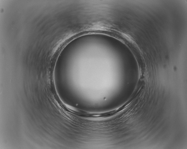 X0000057091356200509120908