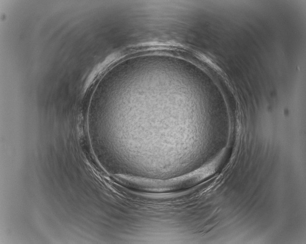 X0000057091357200509120908