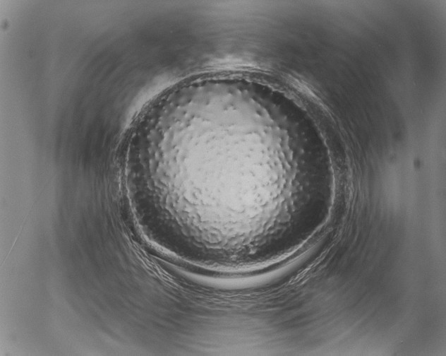 X0000057091358200509120908