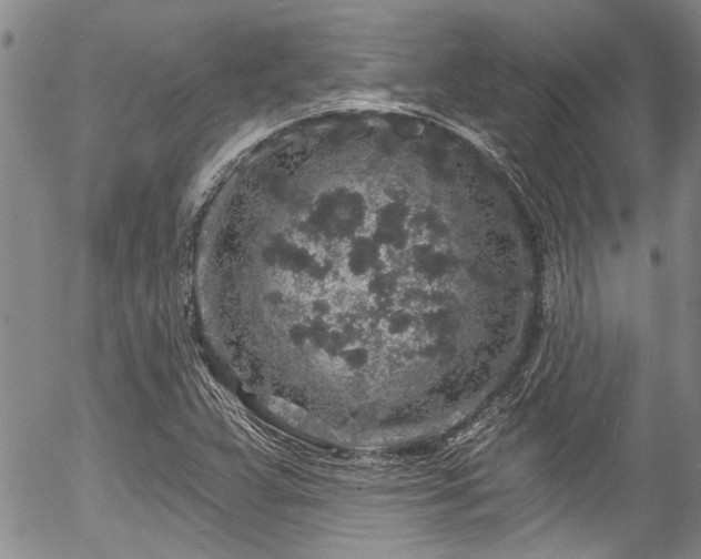 X0000057091359200509120908