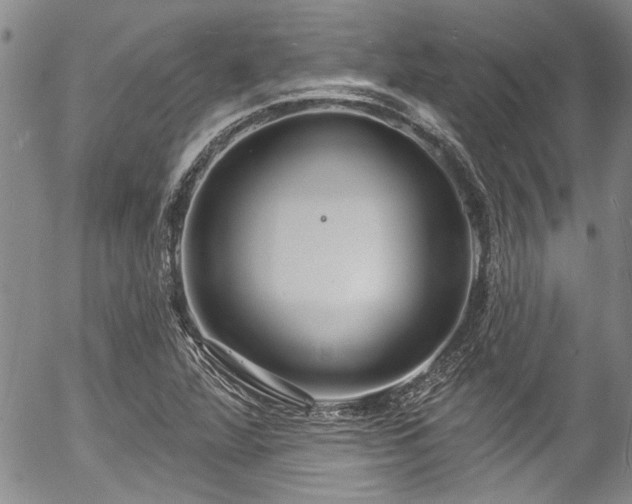 X0000057091360200509120908