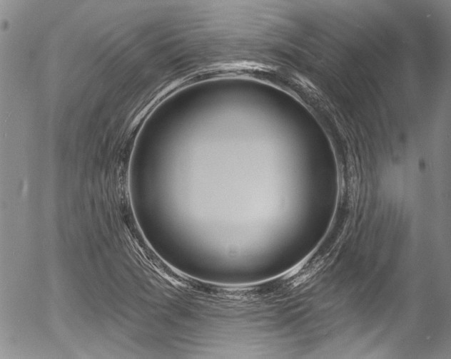 X0000057091361200509120908