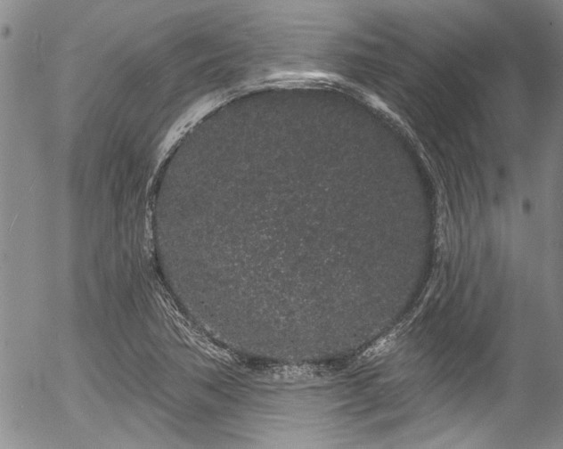 X0000057091362200509120908