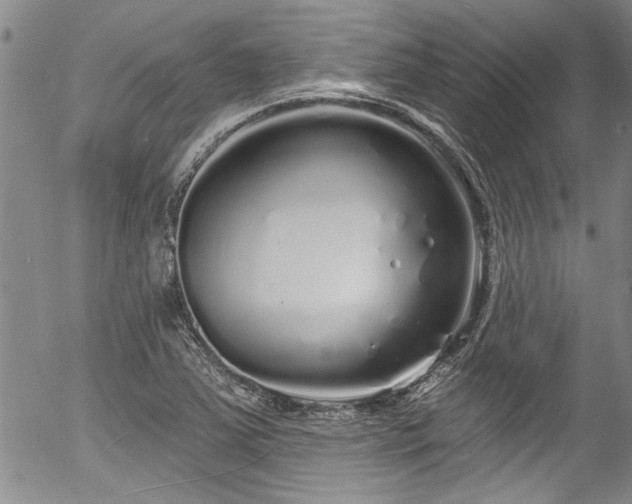 X0000057091363200509120908