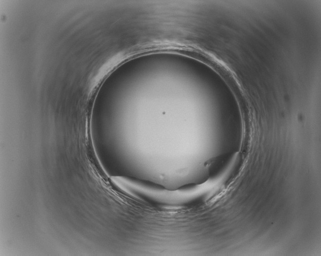 X0000057091365200509120908