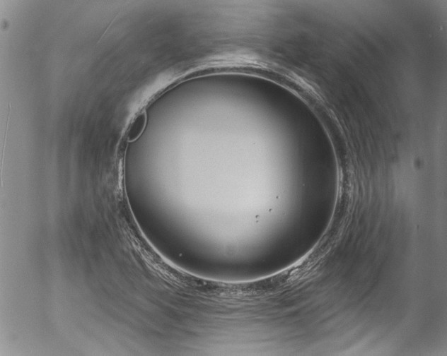 X0000057091366200509120908