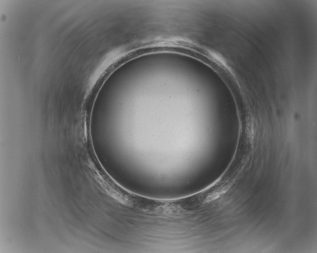 X0000057091368200509120908