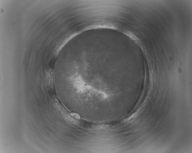 X0000057091369200509120908