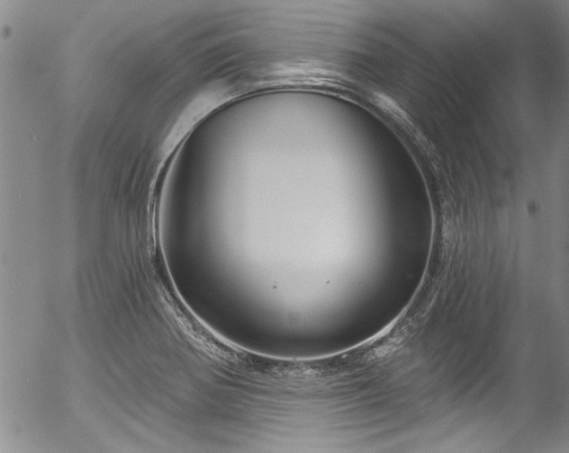 X0000057091370200509120908