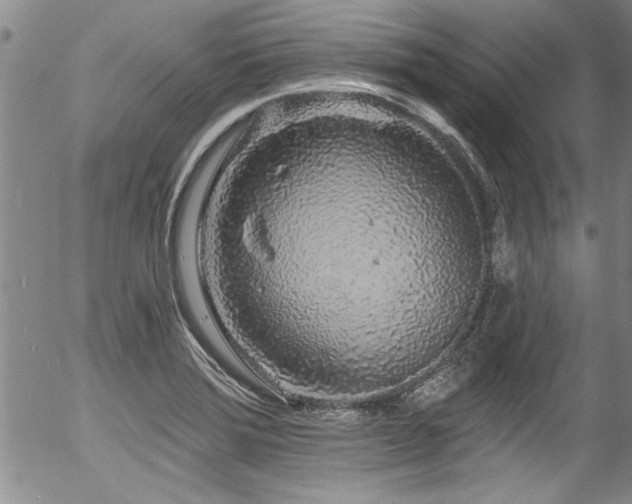 X0000057091372200509120908