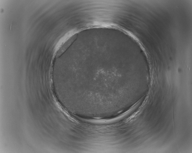 X0000057091373200509120908