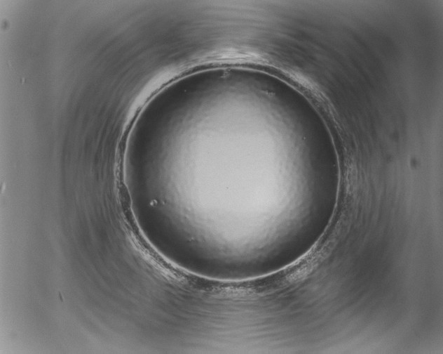 X0000057091374200509120908