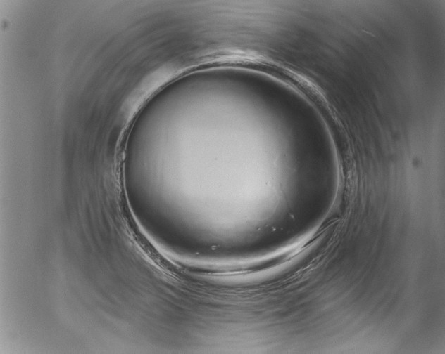 X0000057091375200509120908