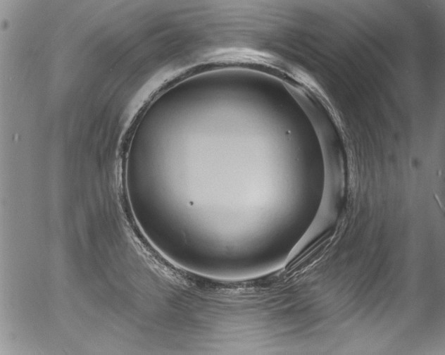 X0000057091376200509120908