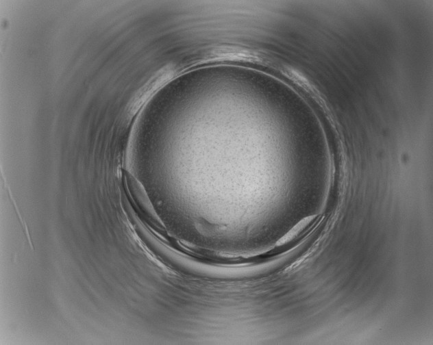 X0000057091377200509120908