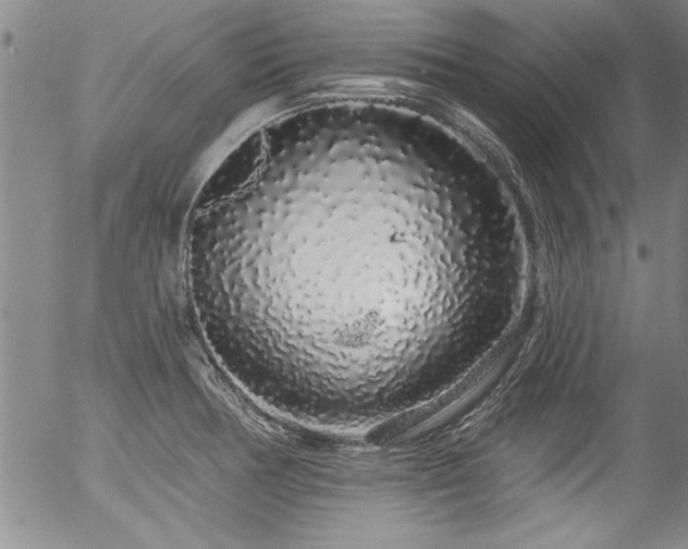 X0000057091378200509120908