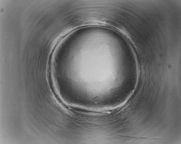 X0000057091379200509120908