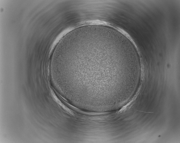 X0000057091381200509120908